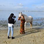 Photo Session With Horses on The Beach or in The Countryside - The Locations: Beach and Countryside