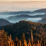 Photo tour through the Black Forest  the highlights - The Sum Up