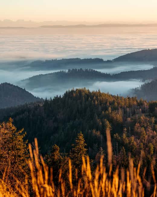 Photo tour through the Black Forest  the highlights - The Sum Up