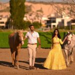 Photoshoot with Running Horses - A Closer Look at the Itinerary and Logistics
