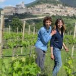 Pic nic Deluxe Assisi and wine tasting 5 wines - A Complete Look at the Experience