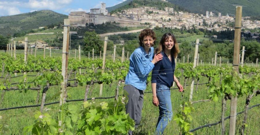 Pic nic Deluxe Assisi and wine tasting 5 wines - A Complete Look at the Experience