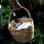Pic-nic in the vineyard - A Detailed Look at the Vineyard Picnic Experience