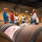 Pic Saint-Loup: Full Day Wine and Olive Tour - Authentic and Well-Organized from Start to Finish