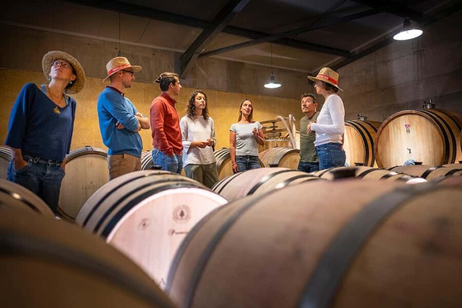 Pic Saint-Loup: Full Day Wine and Olive Tour - Authentic and Well-Organized from Start to Finish