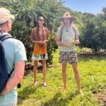 Pick and Taste Tropical Fruit - An In-Depth Look at the Kauai Fruit Tasting Experience