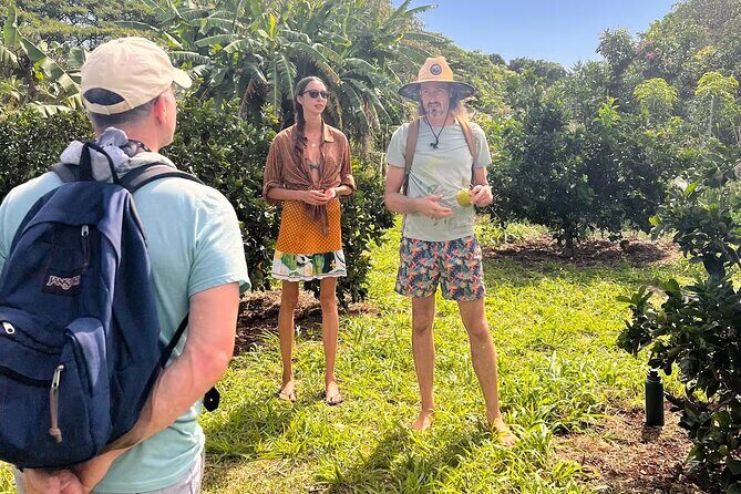 Pick and Taste Tropical Fruit - An In-Depth Look at the Kauai Fruit Tasting Experience