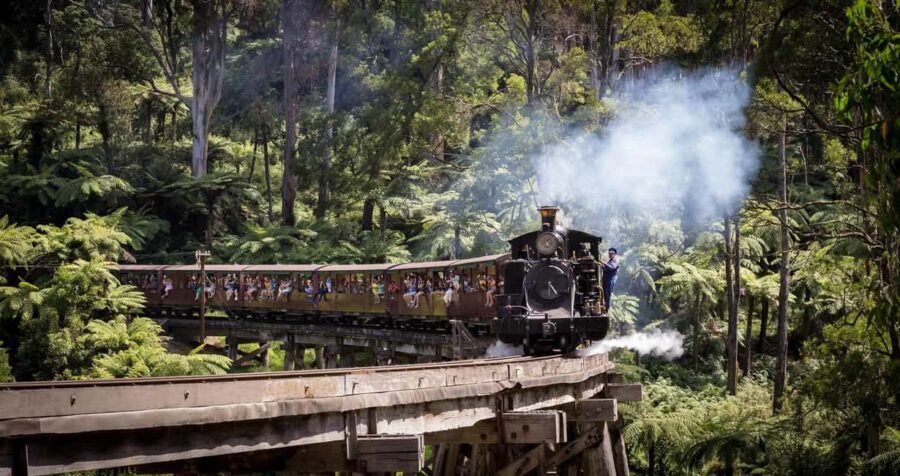 Pick Up from City | Steam Train and Penguin Parade Day Tour - The Sum Up