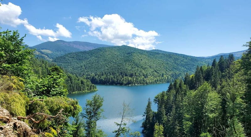 Pick-up from Cluj: e-Mountain Bike Tour Lake Dragan - Why You Should Consider This Experience