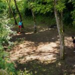 Picnic Area with Barbecue Equipment in Capranica (VT) - FAQ