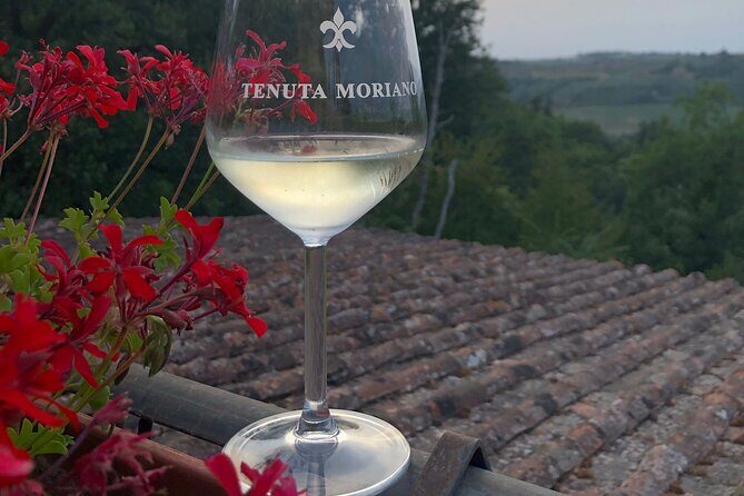 Picnic in the countryside in the heart of Chianti - FAQ