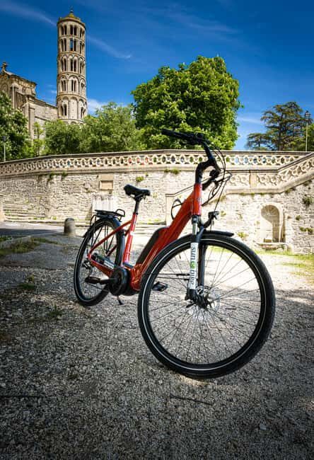 Picnic in the middle of olive groves by e-bike - Exploring the Details of the Experience