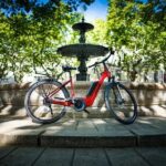 Picnic next to Lavender fields by e-bike - In-Depth Look at the Experience