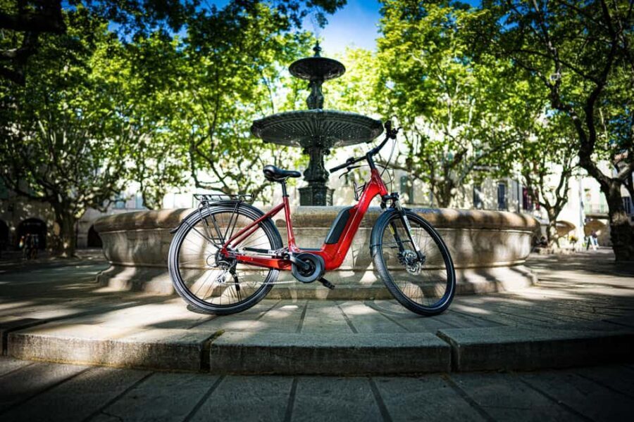 Picnic next to Lavender fields by e-bike - In-Depth Look at the Experience
