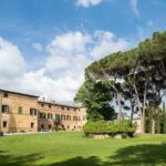 PICNIC on the estate - wine and vineyards - An In-Depth Look at the Experience