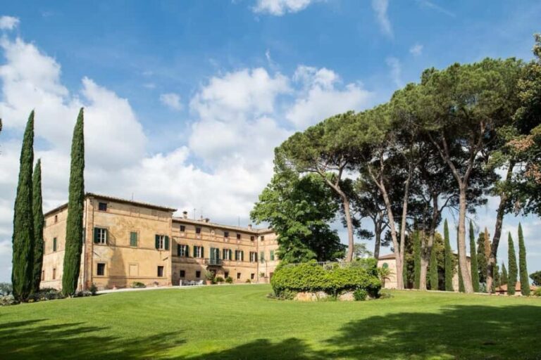 PICNIC on the estate - wine and vineyards - An In-Depth Look at the Experience