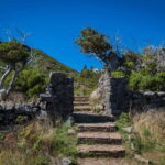 Pico Areeiro to Pico Ruivo Madeira Island Walk - A Closer Look at the Madeira High-Altitude Experience