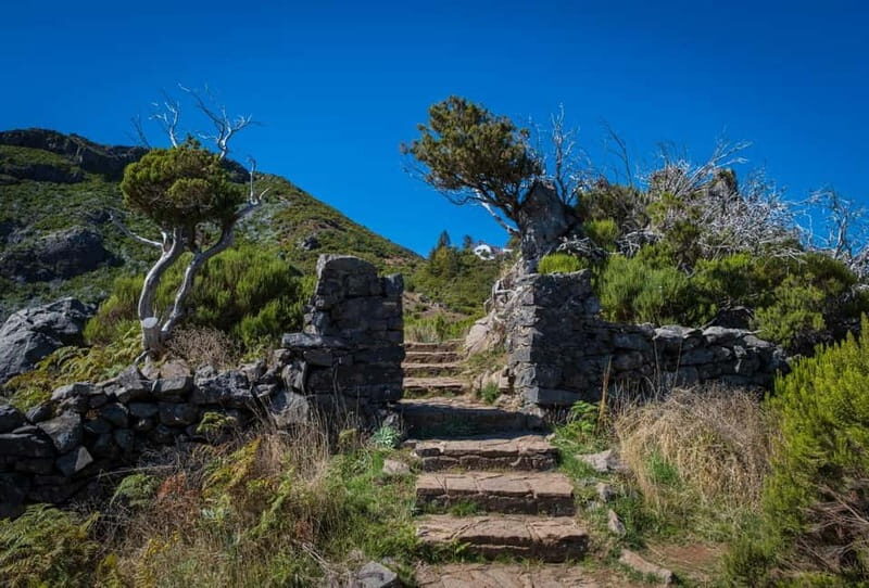 Pico Areeiro to Pico Ruivo Madeira Island Walk - A Closer Look at the Madeira High-Altitude Experience