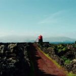 Pico island: discover the volcanic jewel of the Atlantic - Who Will Love This Tour?