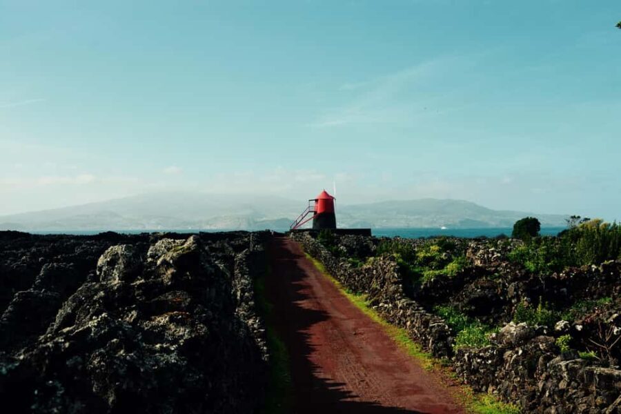 Pico island: discover the volcanic jewel of the Atlantic - Who Will Love This Tour?
