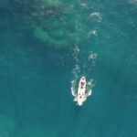 Pico island: guided kayak and snorkel tour - What’s Included and What You Need
