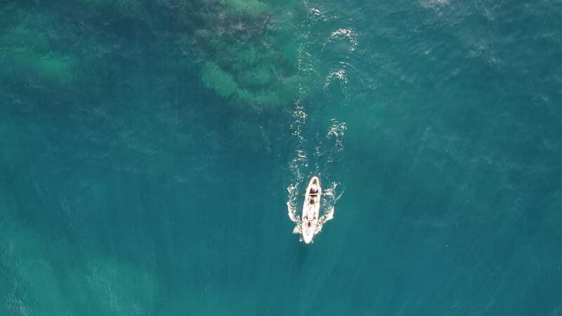 Pico island: guided kayak and snorkel tour - What’s Included and What You Need