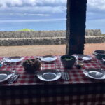 Pico island: highlights, wine tasting and local gastronomy - Final Thoughts: Who Will Love This Tour?