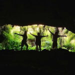Pico Island: Lagoons and Mysterious Lava Tunnels Guided Tour - The Value of This Tour