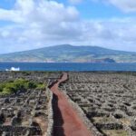 Pico Island: Private Highlights Tour - Final Words