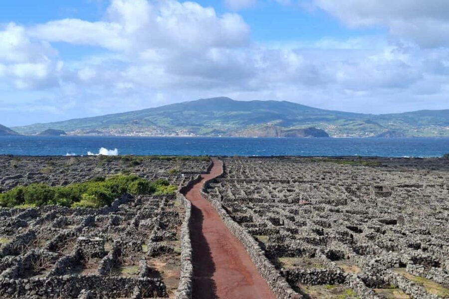 Pico Island: Private Highlights Tour - Final Words
