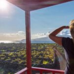 Pico Island: Wine and Vineyards Tour with Tasting - Practical Details and Experience Breakdown