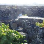 Pico Wine Tours - Final Thoughts: Is Pico Wine Tours Right for You?