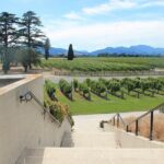 Picton & Blenheim Scenic Tour - The Sum Up