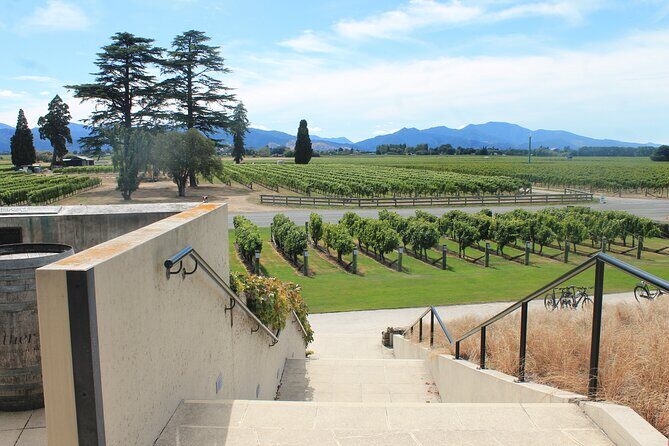 Picton & Blenheim Scenic Tour - The Sum Up