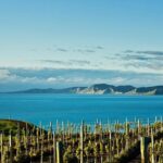 Picton Cruise Ship Shore Excursion Marlborough Wine Tour - FAQ