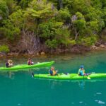 Picton Morning Guided Kayak with Afternoon Boat Cruise Tour - Who Will Love This Tour?