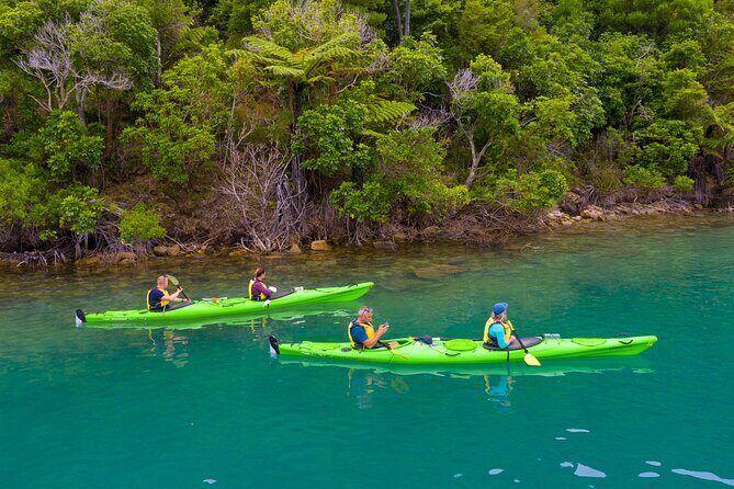Picton Morning Guided Kayak with Afternoon Boat Cruise Tour - Who Will Love This Tour?