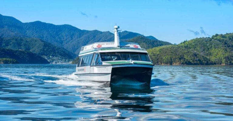Picton Shore Excursion: Queen Charlotte Sounds Cruise - The Sum Up