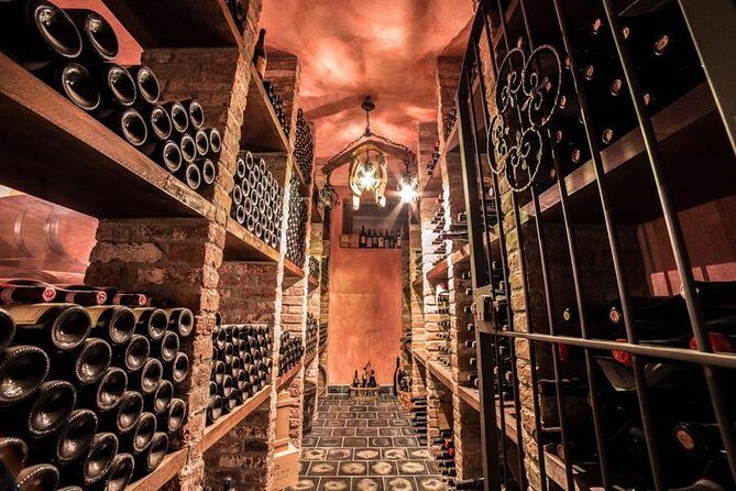 Piedmont Winery Tour: Taste Barolo, Barbaresco & Traditional Food - Final Thoughts