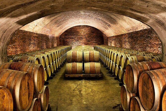 Piemonte Vineyards by Yourself from Turin by Luxury Van with English Chauffeur - FAQ