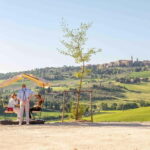 Pienza: guided tasting of Orcia DOC wine and organic EVO oil - A Deep Dive into the Experience