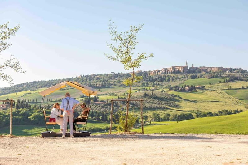 Pienza: guided tasting of Orcia DOC wine and organic EVO oil - A Deep Dive into the Experience