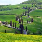 Pienza, Val d'Orcia, Montalcino wine and Pecorino cheese PRIVATE TOUR from SIENA - Why This Tour Works So Well