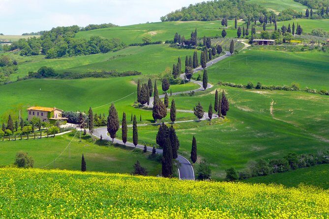 Pienza, Val d'Orcia, Montalcino wine and Pecorino cheese PRIVATE TOUR from SIENA - Why This Tour Works So Well