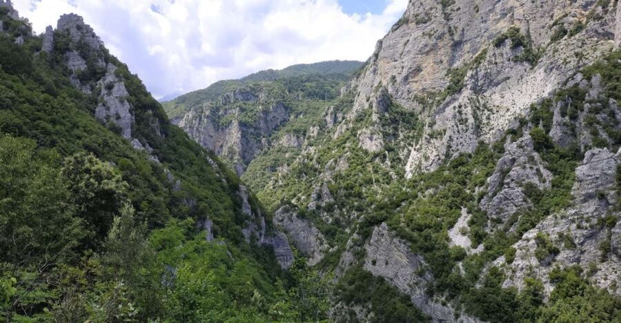Pieria: Guided Hiking Tour in Enipeas Gorge of Mount Olympus - Final Thoughts: Who Will Love This Tour?
