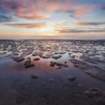 Pieterburen: Wadden Sea Mudflats Guided Walking Tour - Who Will Love This Tour?
