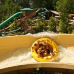 Pigeon Forge: Dollywood's Splash Country Entry Ticket - A Deep Dive into Dollywoods Splash Country
