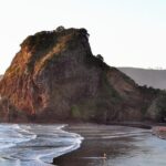 Piha Beach & Wilderness Nature : PRIVATE TOUR 8 hrs - In-Depth Look at the Tour Experience