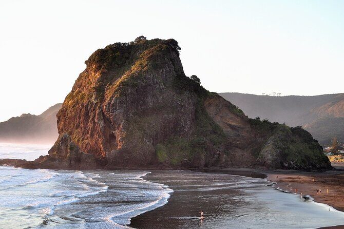 Piha Beach & Wilderness Nature : PRIVATE TOUR 8 hrs - In-Depth Look at the Tour Experience