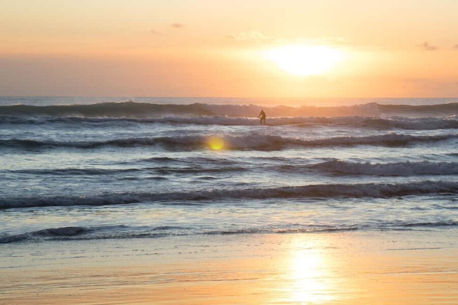 Piha Beach & Wilderness Private Tour: Auckland Half Day Trip - Frequently Asked Questions